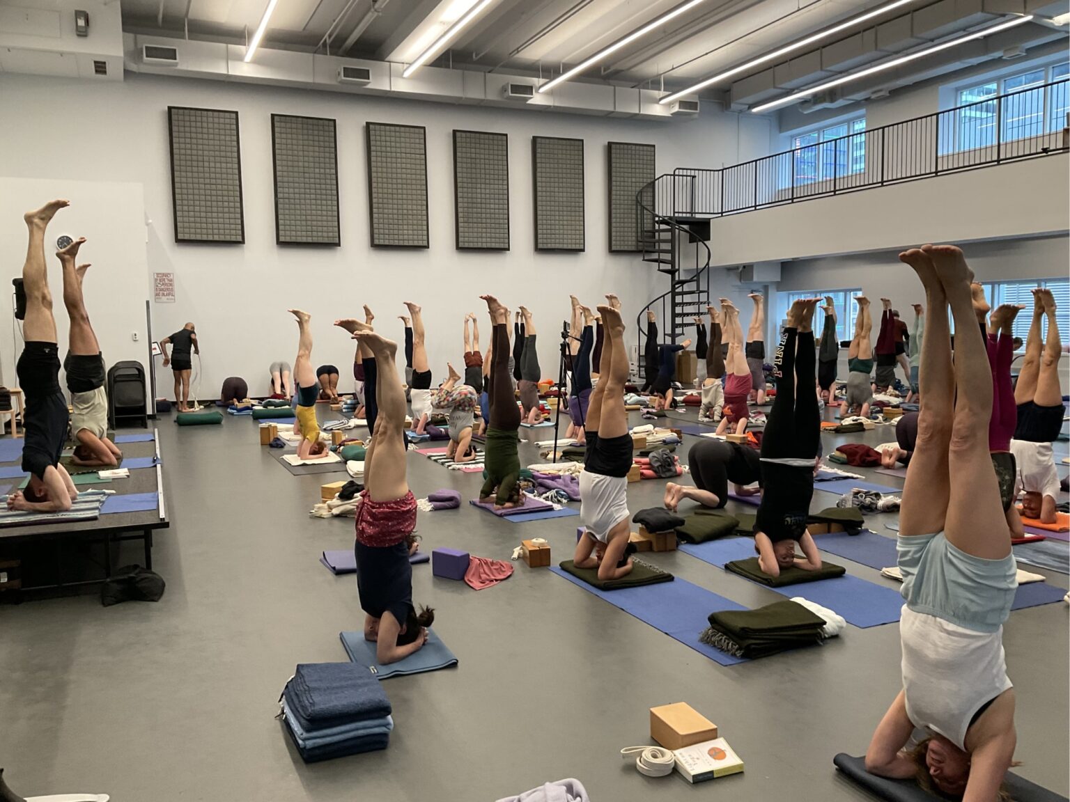 Iyengar Yoga in NYC | Iyengar Yoga Association